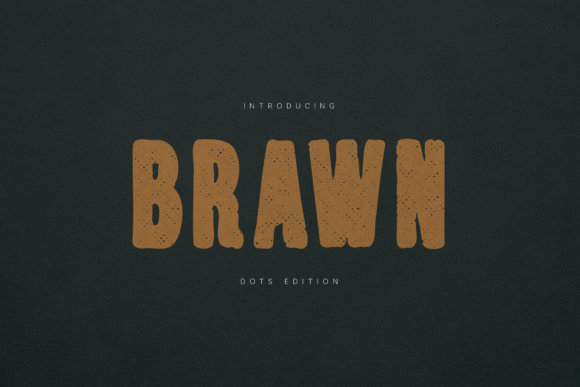 Brawn Dots Edition: A Display Font with Quiet Confidence