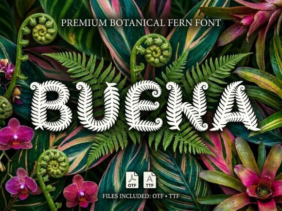 Buena: A Lush Display Font for Digital Branding